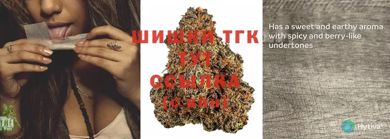 магазин  наркотиков  Соликамск  Бошки марихуана White Widow 